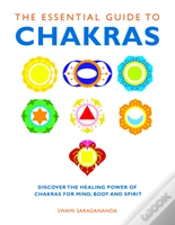 Capa do artigo The Essential Guide To Chakras