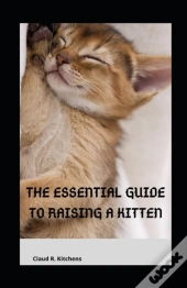 The Essential Guide To Raising A Kitten