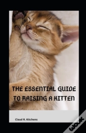 Capa do artigo The Essential Guide To Raising A Kitten