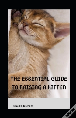 Capa do artigo The Essential Guide To Raising A Kitten