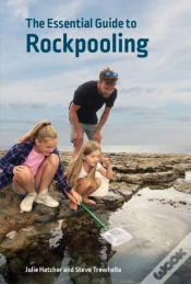 Capa do artigo The Essential Guide To Rockpooling