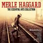 The essential hits collection - CD - Preview