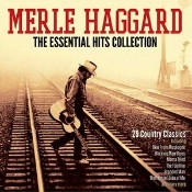 Capa do artigo The essential hits collection - CD
