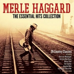 Capa do artigo The essential hits collection - CD