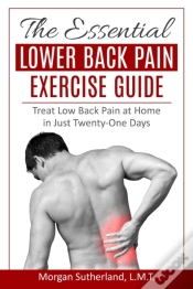 Capa do artigo The Essential Lower Back Pain Exercise Guide
