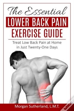 Capa do artigo The Essential Lower Back Pain Exercise Guide
