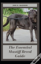 Capa do artigo The Essential Mastiff Breed Guide
