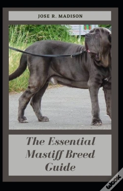 Capa do artigo The Essential Mastiff Breed Guide
