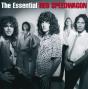 The Essential REO Speedwagon - CD - Preview