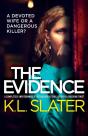 The Evidence: A Completely Unputdownable - Preview