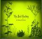 The Evil Garden - Preview