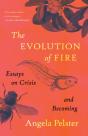 The Evolution Of Fire - Preview