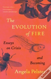 Capa do artigo The Evolution Of Fire