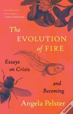 Capa do artigo The Evolution Of Fire