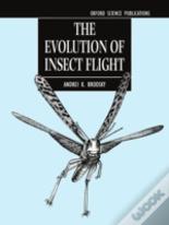 The Evolution Of Insect Flight