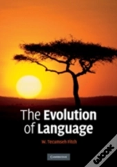The Evolution Of Language