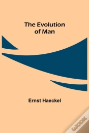 Capa do artigo The Evolution Of Man