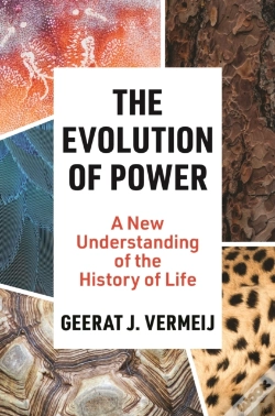 Capa do artigo The Evolution Of Power