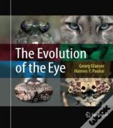 The Evolution Of The Eye