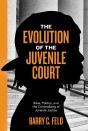 The Evolution Of The Juvenile Court - Preview