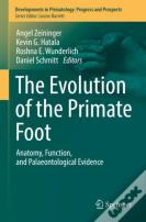The Evolution Of The Primate Foot