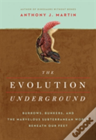 The Evolution Underground