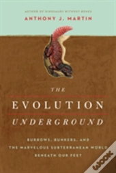 The Evolution Underground
