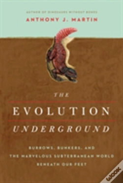 Capa do artigo The Evolution Underground