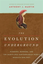 Capa do artigo The Evolution Underground