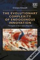 The Evolutionary Complexity Of Endogenous Innovation