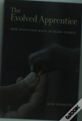 The Evolved Apprentice