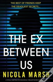 The Ex Between Us