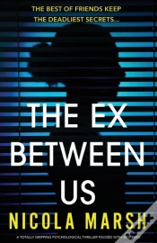 Capa do artigo The Ex Between Us