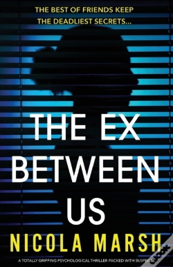 Capa do artigo The Ex Between Us