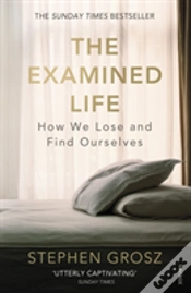 Capa do artigo The Examined Life