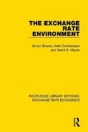 The Exchange Rate Environment - Preview