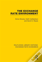 The Exchange Rate Environment