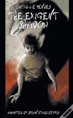 Capa do artigo The Exigent Shadow