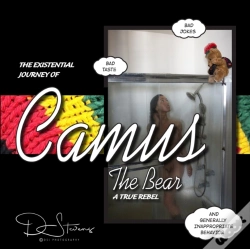 Capa do artigo The Existential Journey Of Camus The Bear