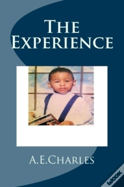 Capa do artigo The Experience