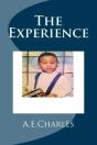 The Experience - Preview