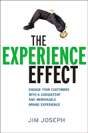 The Experience Effect - Preview