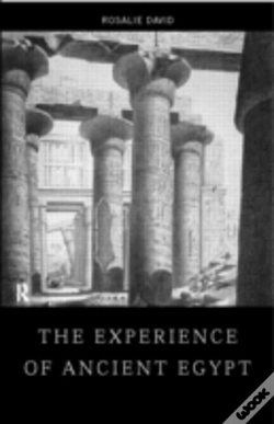 Capa do artigo The Experience Of Ancient Egypt