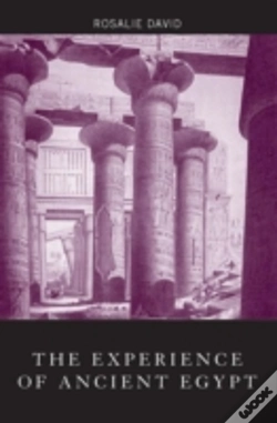 Capa do artigo The Experience Of Ancient Egypt