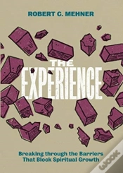 Capa do artigo The Experience