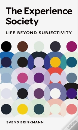 Capa do artigo The Experience Society