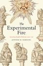 The Experimental Fire - Preview