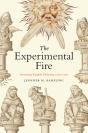 The Experimental Fire - Preview