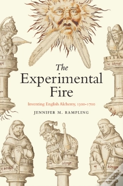 Capa do artigo The Experimental Fire