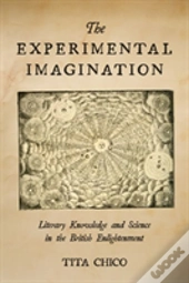 The Experimental Imagination